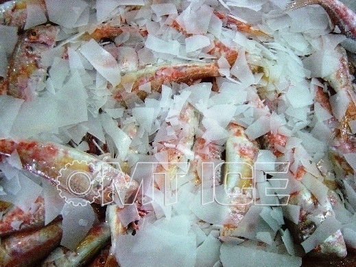 3 tonnes de flocons d'eau de mer Fabricant de glace écrasée Épaisseur 1,2 mm réfrigérant R404a