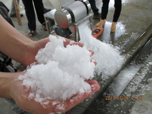220 kg Capacité Autres compresseurs OMT machines de concassage de glace pour les barbiers industriels à bloc de glace de 20 à 50 kg