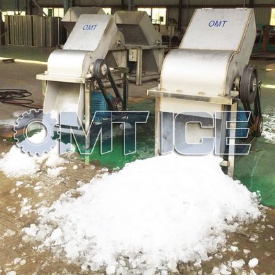 Machine de broyage de glace sur mesure 10 tonnes polyvalente pour les fruits de mer et les légumes