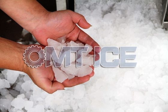 Machine de broyage de glace sur mesure 10 tonnes polyvalente pour les fruits de mer et les légumes
