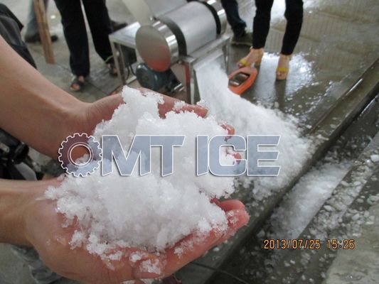 Machine de broyage de glace sur mesure 10 tonnes polyvalente pour les fruits de mer et les légumes