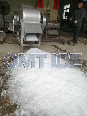 Machine de broyage de glace sur mesure 10 tonnes polyvalente pour les fruits de mer et les légumes