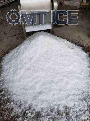 Machine de broyage de glace sur mesure 10 tonnes polyvalente pour les fruits de mer et les légumes