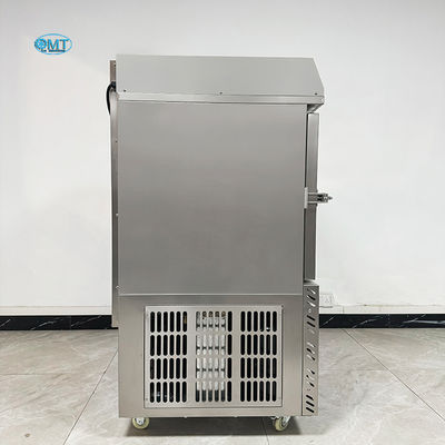 Les légumes Les fruits Les crevettes Le congélateur rapide du tunnel Le congélateur rapide du tunnel Iqf Le congélateur explosif -80 °C à 0 °C Contrôle de température 220 V