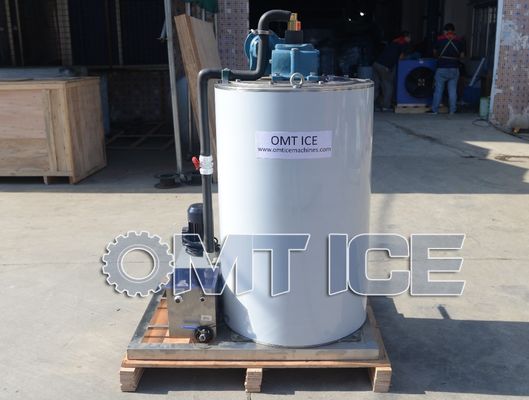 Machine de fabrication de flocons de glace en acier inoxydable