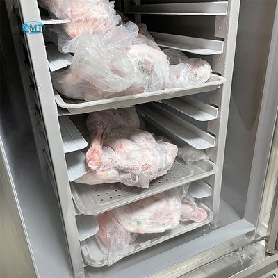Congélateur commercial cryogénique mobile pour la congélation des assiettes et écologique