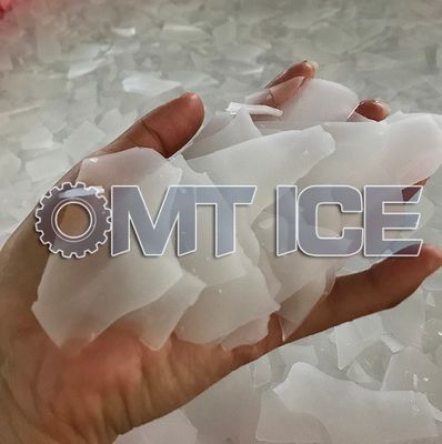 Machine à glace en flocons d'eau douce commerciale à 5 chevaux Machine à glace en flocons 1 tonne/24 heures
